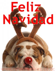 Feliz Navidad