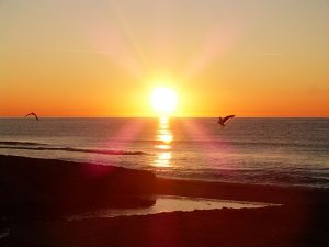 "Alba". Proyecto palabras bonitas. Blog de Rafael Ramírez.