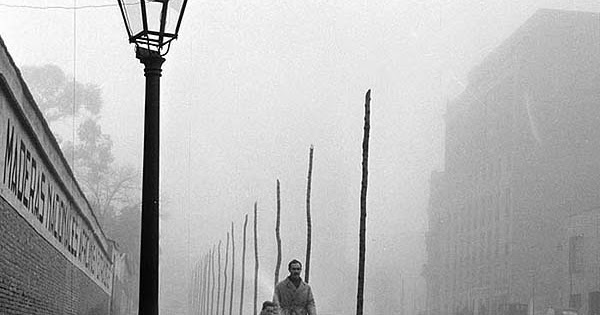 La sombra del viento de Carlos Ruiz Zafón