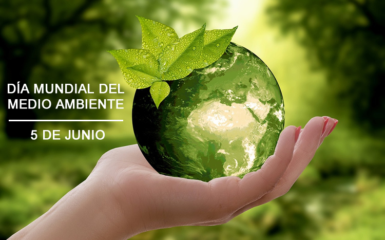5 de Junio Día Mundial del Medio Ambiente. Blog de Rafael Ramírez.