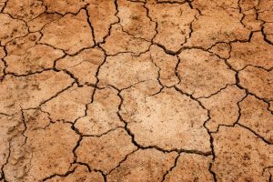 El hambre en el mundo hoy: una realidad alarmante. Blog de Rafael Ramírez.