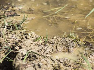 Semana Mundial del Agua 2024. Blog de Rafael Ramírez.