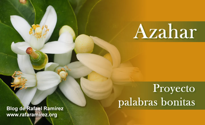 Azahar. Proyecto palabras bonitas. Blog de Rafael Ramírez.