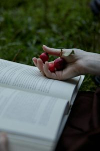 Serendipia, palabra bonita. Blog de Rafael Ramírez.