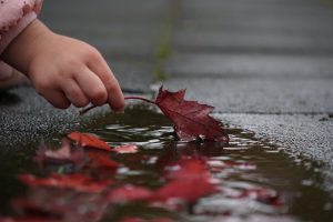 Petricor palabra bonita de nuestro proyecto. Blog de Rafael Ramírez.