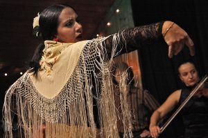 Día Internacional del Flamenco 16 de noviembre. Blog de Rafael Ramírez.