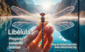 "Libélula" Proyecto de Palabras Bonitas. Blog de Rafael Ramírez.