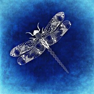 "Libélula" palabra bonita de nuestro proyecto. Blog de Rafael Ramírez.