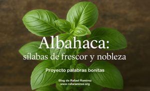 "Albahaca" palabra bonita en nuestro proyecto. Blog de Rafael Ramírez.