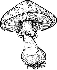 Plantilla para colorear de seta. Blog de Rafael Ramírez.