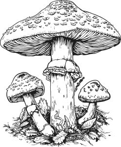 Plantilla para colorear de setas. Blog de Rafael Ramírez.