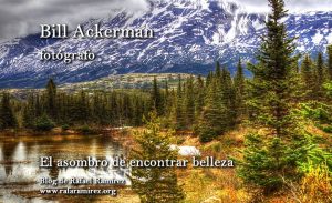 El asombro de encontrar belleza: un paseo inesperado por las fotografías de Bill Ackerman.