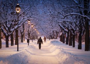 Morning walk. Peter Nilsson. 