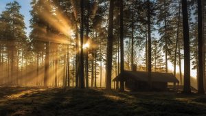 Lights on. Peter Nilsson.