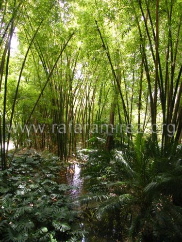 Jardin de la Concepcion fotografía de Rafael Ramírez