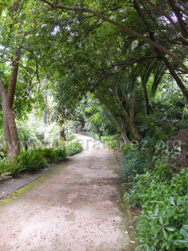 Jardin de la Concepcion fotografía de Rafael Ramírez