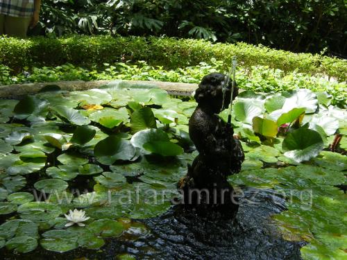 Jardin de la Concepcion fotografía de Rafael Ramírez
