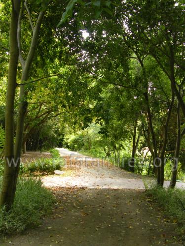 Jardin de la Concepcion fotografía de Rafael Ramírez