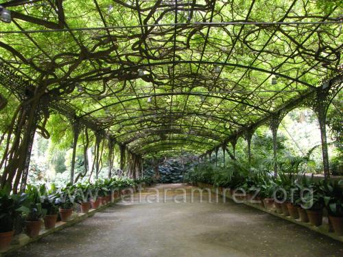 Jardin de la Concepcion fotografía de Rafael Ramírez