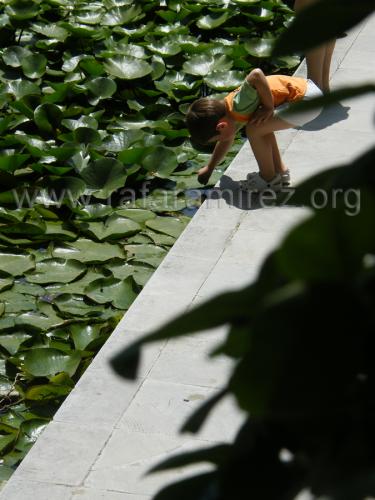 Jardin de la Concepcion fotografía de Rafael Ramírez