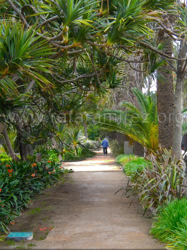 Parque de Málaga. Fotografía de Rafael Ramírez.