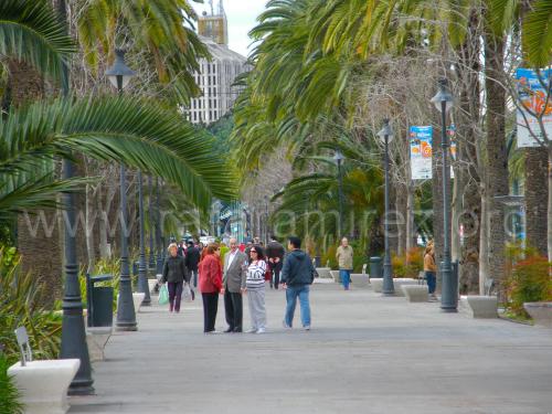 Parque de Málaga. Fotografía de Rafael Ramírez.