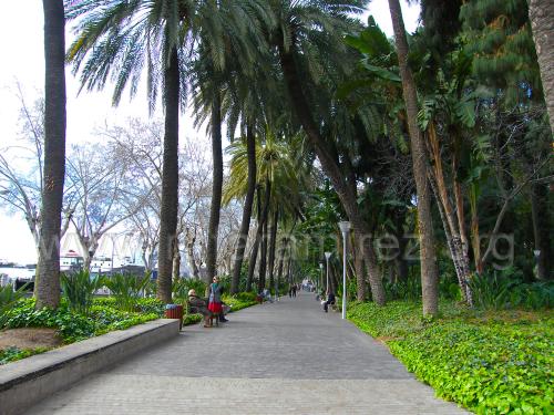 Parque de Málaga. Fotografía de Rafael Ramírez.