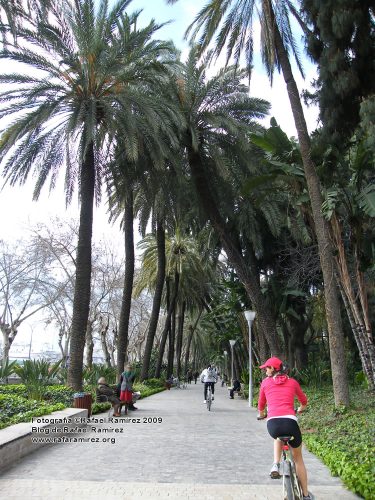 Paseo del Parque.