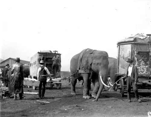 Circo Sells-Floto, 1922. 