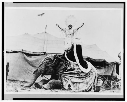 Una reina del circo. 