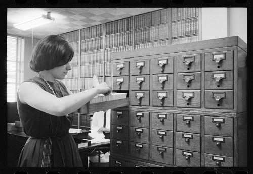 Jóvenes que trabajan en la biblioteca. 