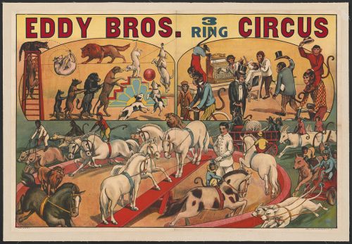 Eddy Bros. Circo de tres pistas. 