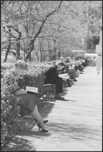 Personas sentadas en los bancos de un parque en primavera, Washington, D.C. 