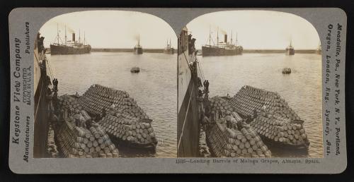Cargando barriles de uvas de Málaga, España (1860/1930).