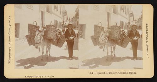 Vendedor ambulante español, Granada, España1896