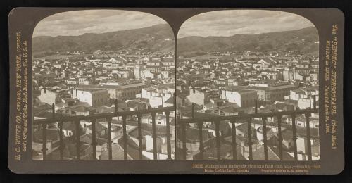 Málaga y sus hermosas colinas cubiertas de viñedos y frutas, mirando al este desde la catedral, España (1908).