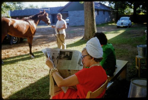 Caballos de Saratoga, galopando al amanecer - Etcétera, y personalidades. 